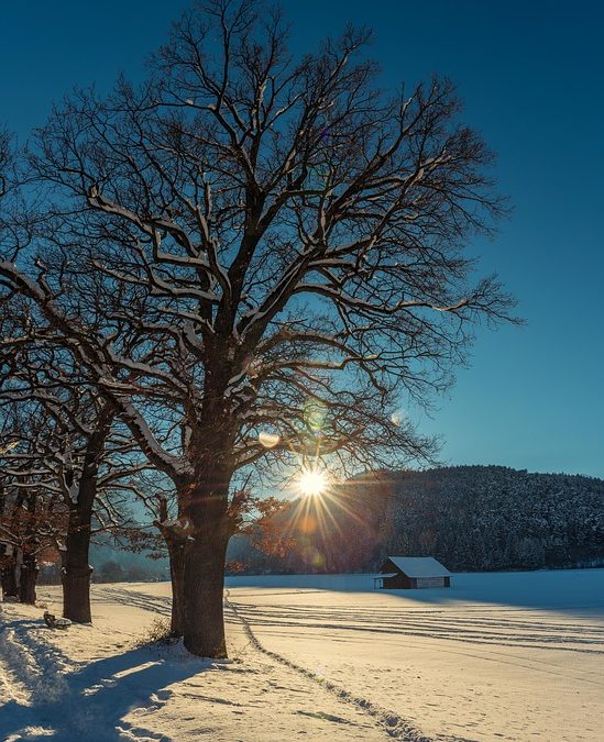 Veckans bjudmat – Helgmiddag